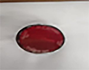 Rear Round Reflector For X13/X14 Mobility Scooters