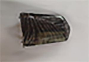 Charging Port Decorative Cover For X13 Mobility Scooters