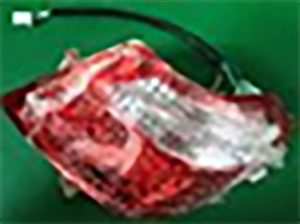 Rear Turning Light Right For X13/X14 Mobility Scooters