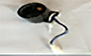 Horn For X13/X14 Mobility Scooters