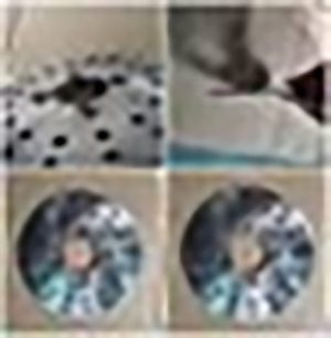 Front Disc Brake Plate For X14 Mobility Scooters