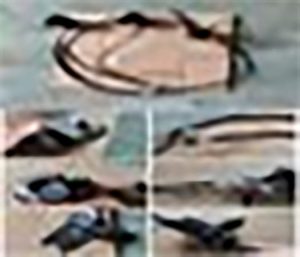 Front Disc Brake Pump  For X14 Mobility Scooters